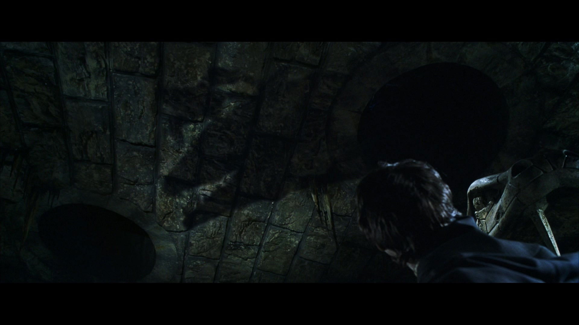 Harry Potter and the Chamber of Secrets